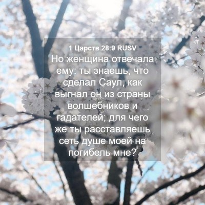 Picture 04 - 1 Царств 28:9 RUSV - Но женщина отвечала ему: ты - Bible Verse Picture