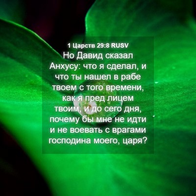 Picture 04 - 1 Царств 29:8 RUSV - Но Давид сказал Анхусу: что - Bible Verse Picture