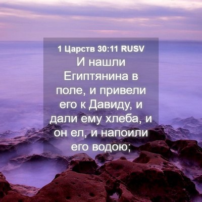Picture 04 - 1 Царств 30:11 RUSV - И нашли Египтянина в поле, - Bible Verse Picture