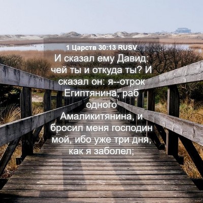 Picture 04 - 1 Царств 30:13 RUSV - И сказал ему Давид: чей ты и - Bible Verse Picture