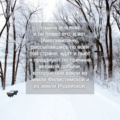 Picture 04 - 1 Царств 30:16 RUSV - и он повел его; и вот, - Bible Verse Picture