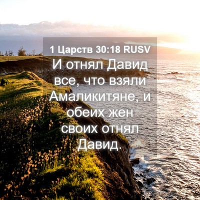 Picture 04 - 1 Царств 30:18 RUSV - И отнял Давид все, что - Bible Verse Picture