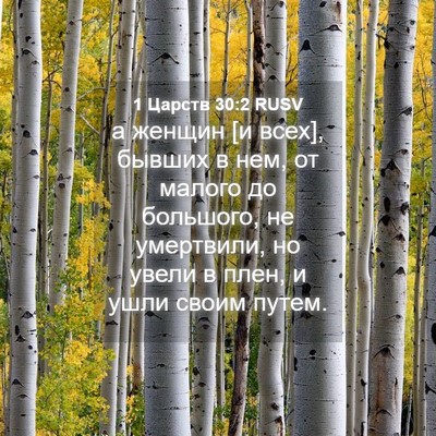 Picture 04 - 1 Царств 30:2 RUSV - а женщин [и всех], бывших в - Bible Verse Picture