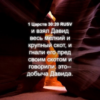 Picture 04 - 1 Царств 30:20 RUSV - и взял Давид весь мелкий и - Bible Verse Picture