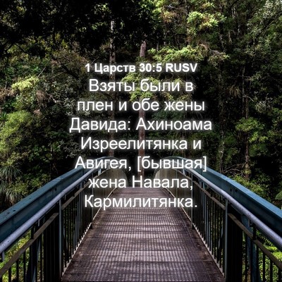 Picture 04 - 1 Царств 30:5 RUSV - Взяты были в плен и обе - Bible Verse Picture