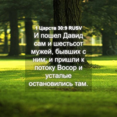 Picture 04 - 1 Царств 30:9 RUSV - И пошел Давид сам и - Bible Verse Picture