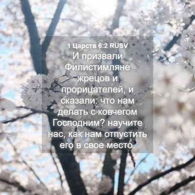 Picture 04 - 1 Царств 6:2 RUSV - И призвали Филистимляне - Bible Verse Picture