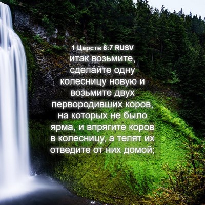 Picture 04 - 1 Царств 6:7 RUSV - итак возьмите, сделайте - Bible Verse Picture