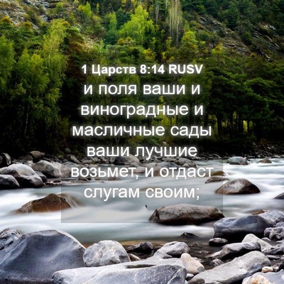Picture 04 - 1 Царств 8:14 RUSV - и поля ваши и виноградные и - Bible Verse Picture
