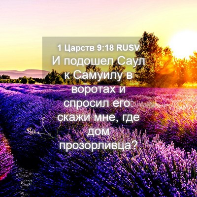 Picture 04 - 1 Царств 9:18 RUSV - И подошел Саул к Самуилу в - Bible Verse Picture