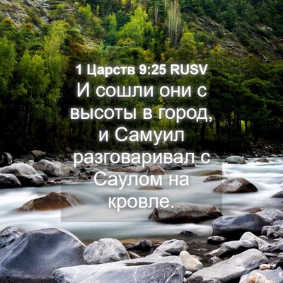 Picture 04 - 1 Царств 9:25 RUSV - И сошли они с высоты в - Bible Verse Picture