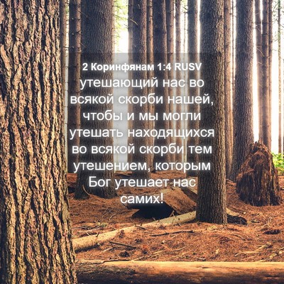 Picture 04 - 2 Коринфянам 1:4 RUSV - утешающий нас во всякой - Bible Verse Picture