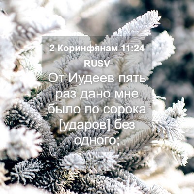 Picture 04 - 2 Коринфянам 11:24 RUSV - От Иудеев пять раз дано мне - Bible Verse Picture