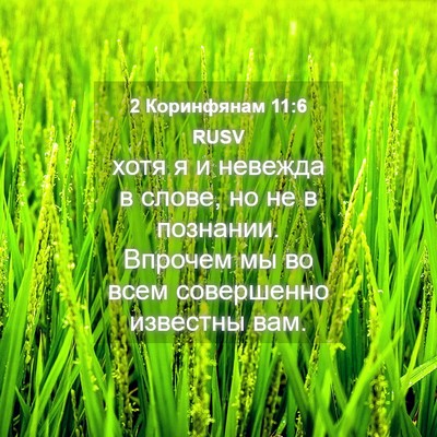 Picture 04 - 2 Коринфянам 11:6 RUSV - хотя я и невежда в слове, но - Bible Verse Picture