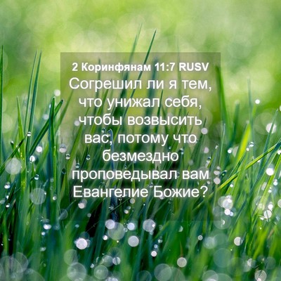 Picture 04 - 2 Коринфянам 11:7 RUSV - Согрешил ли я тем, что - Bible Verse Picture