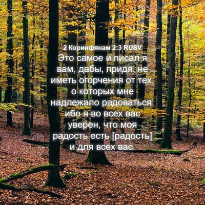 Picture 04 - 2 Коринфянам 2:3 RUSV - Это самое и писал я вам, - Bible Verse Picture