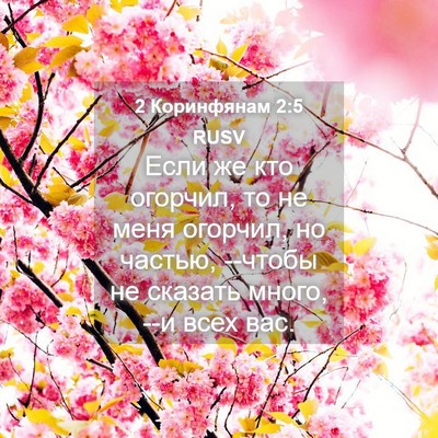 Picture 04 - 2 Коринфянам 2:5 RUSV - Если же кто огорчил, то не - Bible Verse Picture
