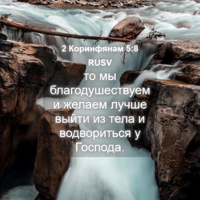 Picture 04 - 2 Коринфянам 5:8 RUSV - то мы благодушествуем и - Bible Verse Picture