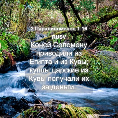 Picture 04 - 2 Паралипоменон 1:16 RUSV - Коней Соломону приводили - Bible Verse Picture
