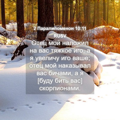 Picture 04 - 2 Паралипоменон 10:11 RUSV - Отец мой наложил на вас - Bible Verse Picture
