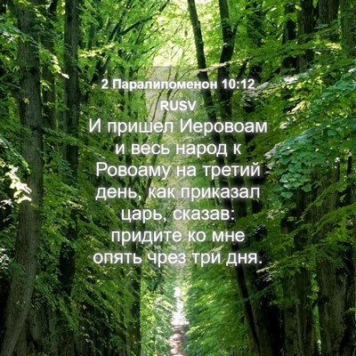 Picture 04 - 2 Паралипоменон 10:12 RUSV - И пришел Иеровоам и весь - Bible Verse Picture