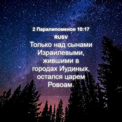 Picture 04 - 2 Паралипоменон 10:17 RUSV - Только над сынами - Bible Verse Picture