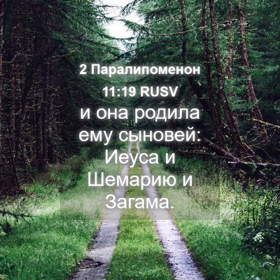 Picture 04 - 2 Паралипоменон 11:19 RUSV - и она родила ему сыновей: - Bible Verse Picture