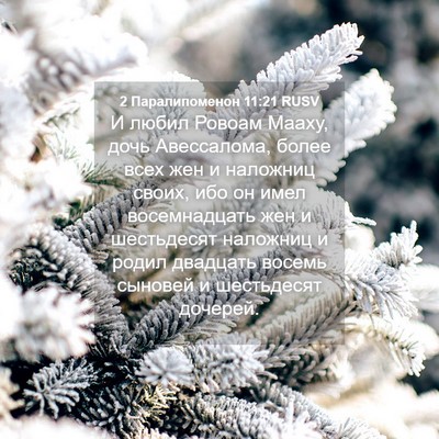 Picture 04 - 2 Паралипоменон 11:21 RUSV - И любил Ровоам Мааху, дочь - Bible Verse Picture