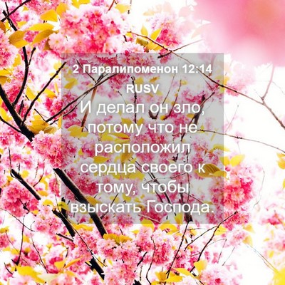Picture 04 - 2 Паралипоменон 12:14 RUSV - И делал он зло, потому что - Bible Verse Picture