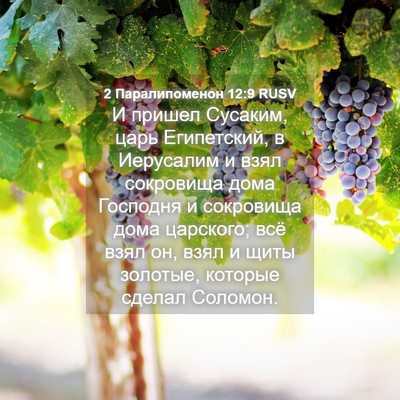Picture 04 - 2 Паралипоменон 12:9 RUSV - И пришел Сусаким, царь - Bible Verse Picture
