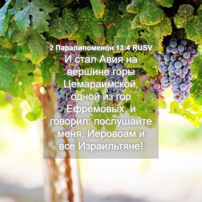 Picture 04 - 2 Паралипоменон 13:4 RUSV - И стал Авия на вершине горы - Bible Verse Picture