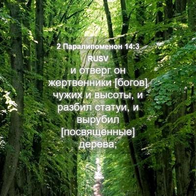 Picture 04 - 2 Паралипоменон 14:3 RUSV - и отверг он жертвенники - Bible Verse Picture
