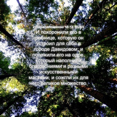 Picture 04 - 2 Паралипоменон 16:14 RUSV - И похоронили его в - Bible Verse Picture