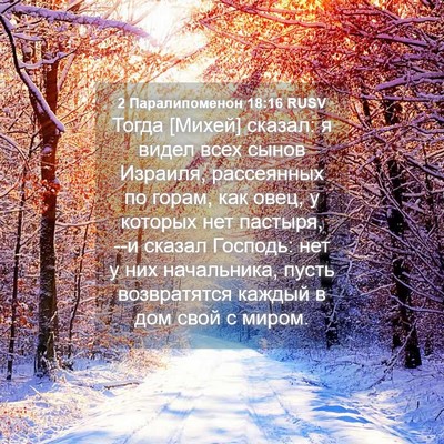 Picture 04 - 2 Паралипоменон 18:16 RUSV - Тогда [Михей] сказал: я - Bible Verse Picture