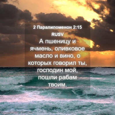 Picture 04 - 2 Паралипоменон 2:15 RUSV - А пшеницу и ячмень, - Bible Verse Picture