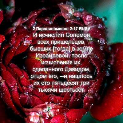 Picture 04 - 2 Паралипоменон 2:17 RUSV - И исчислил Соломон всех - Bible Verse Picture