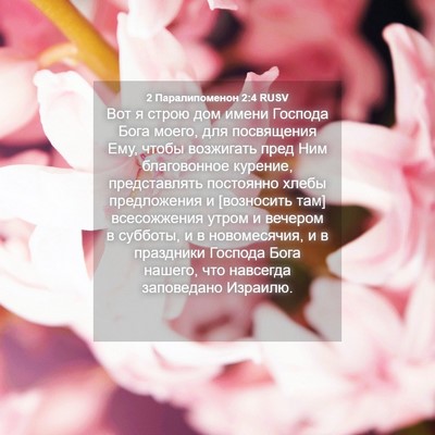 Picture 04 - 2 Паралипоменон 2:4 RUSV - Вот я строю дом имени - Bible Verse Picture