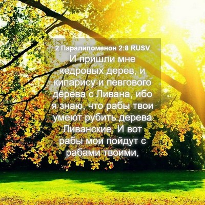 Picture 04 - 2 Паралипоменон 2:8 RUSV - И пришли мне кедровых - Bible Verse Picture
