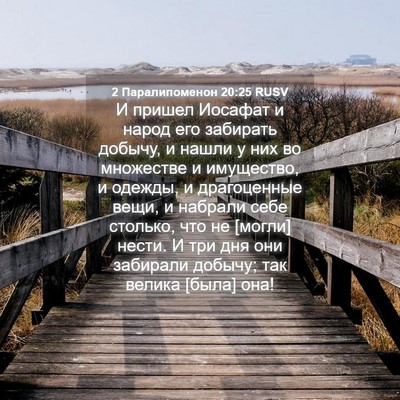 Picture 04 - 2 Паралипоменон 20:25 RUSV - И пришел Иосафат и народ - Bible Verse Picture