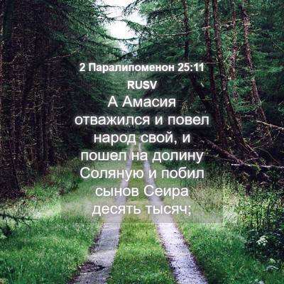 Picture 04 - 2 Паралипоменон 25:11 RUSV - А Амасия отважился и повел - Bible Verse Picture