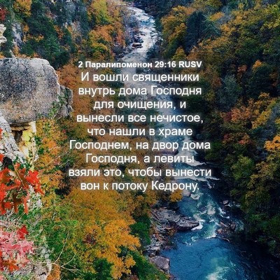 Picture 04 - 2 Паралипоменон 29:16 RUSV - И вошли священники внутрь - Bible Verse Picture