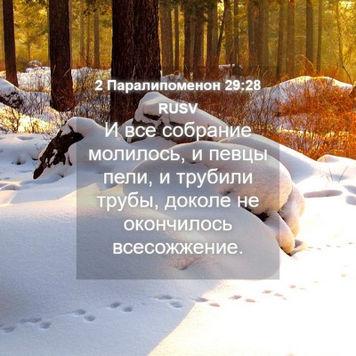 Picture 04 - 2 Паралипоменон 29:28 RUSV - И все собрание молилось, и - Bible Verse Picture