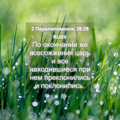Picture 04 - 2 Паралипоменон 29:29 RUSV - По окончании же - Bible Verse Picture
