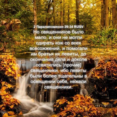 Picture 04 - 2 Паралипоменон 29:34 RUSV - Но священников было мало, и - Bible Verse Picture