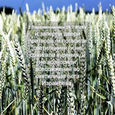 Picture 04 - 2 Паралипоменон 29:7 RUSV - и заперли двери притвора, и - Bible Verse Picture