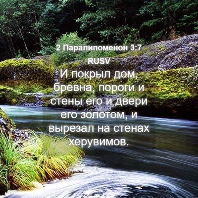 Picture 04 - 2 Паралипоменон 3:7 RUSV - И покрыл дом, бревна, - Bible Verse Picture