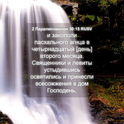 Picture 04 - 2 Паралипоменон 30:15 RUSV - и закололи пасхального - Bible Verse Picture