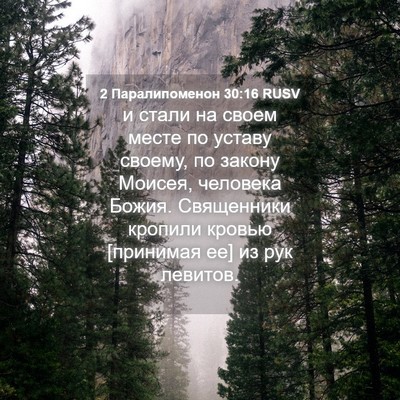 Picture 04 - 2 Паралипоменон 30:16 RUSV - и стали на своем месте по - Bible Verse Picture