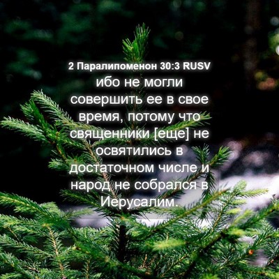 Picture 04 - 2 Паралипоменон 30:3 RUSV - ибо не могли совершить ее в - Bible Verse Picture