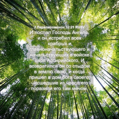 Picture 04 - 2 Паралипоменон 32:21 RUSV - И послал Господь Ангела, и - Bible Verse Picture